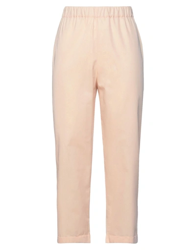 Shop Lamberto Losani Woman Pants Light Pink Size 6 Cotton, Silk