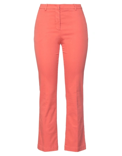 Pt Torino Pants In Orange
