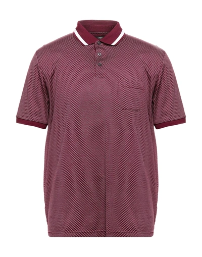 Shop Fynch-hatton® Polo Shirts In Maroon