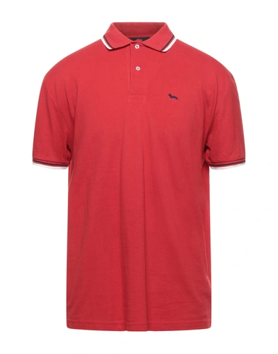 Shop Harmont & Blaine Man Polo Shirt Red Size Xxl Cotton