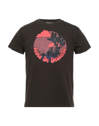 Shop Phipps Man T-shirt Dark Brown Size M Organic Cotton