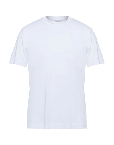 Shop Malo T-shirts In White