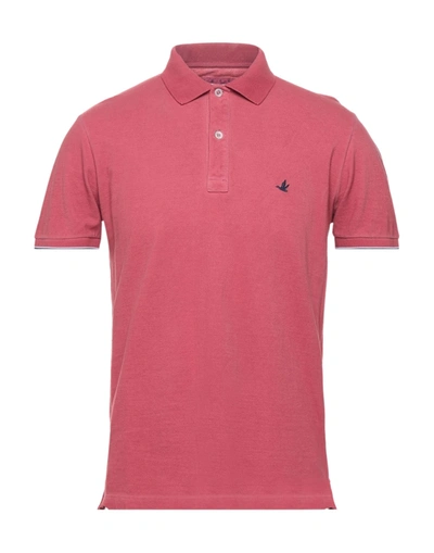 Shop Brooksfield Man Polo Shirt Brick Red Size 36 Cotton