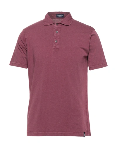 Shop Drumohr Man Polo Shirt Burgundy Size S Cotton In Red