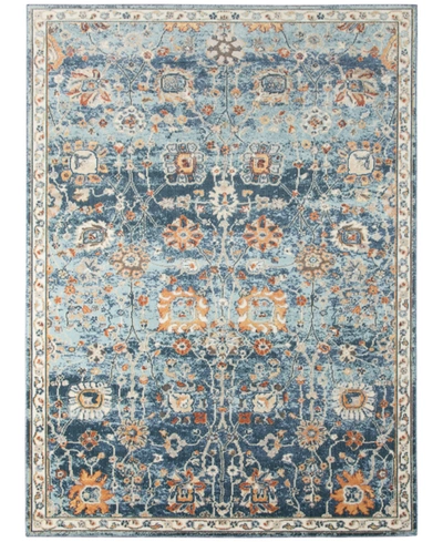 Shop Amer Rugs Bohemian Bhm-5 Navy 7'9" X 9'9" Outdoor Area Rug