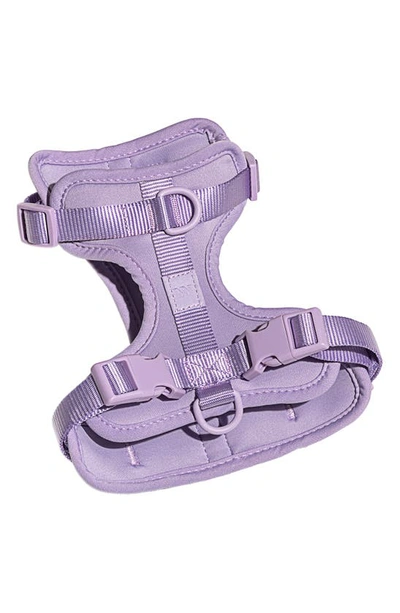 Shop Wild One Dog Harness In Lilac