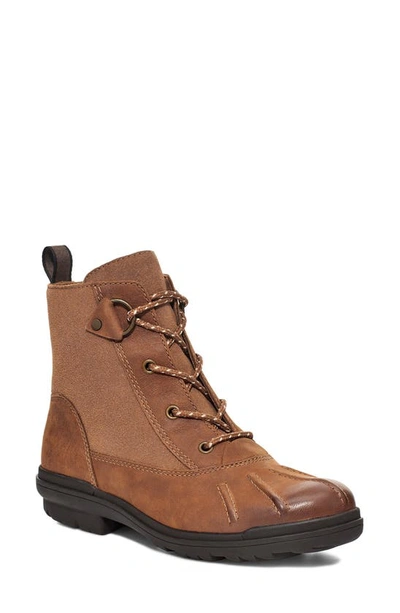 Shop Ugg Hapsburg Waterproof Duck Boot In Chestnut Leather