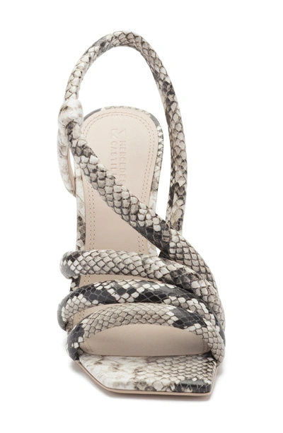 Shop Mercedes Castillo Aline Strappy Sandal In Roccia