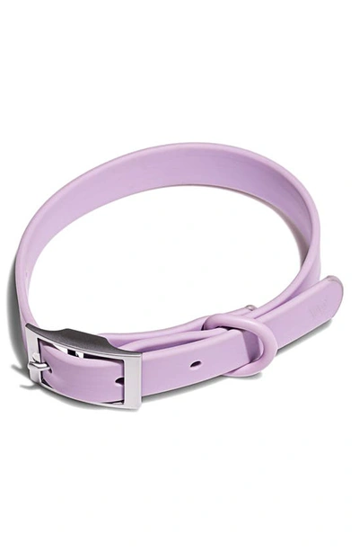 Shop Wild One All-weather Dog Collar In Lilac