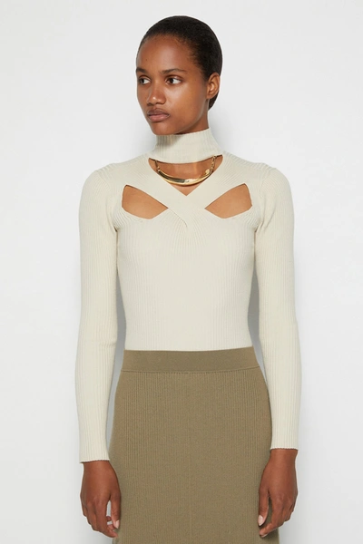 Shop Pre-spring 2022 Ready-to-wear Charlee Wool Turtleneck In Taupe