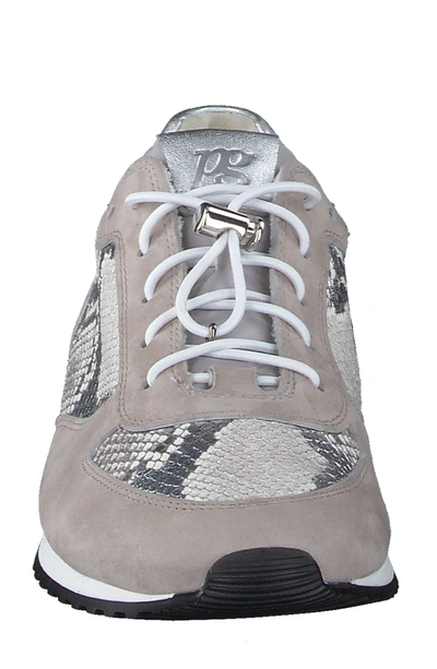 Shop Paul Green Elvis Sneaker In Stone Silver Pebble Python