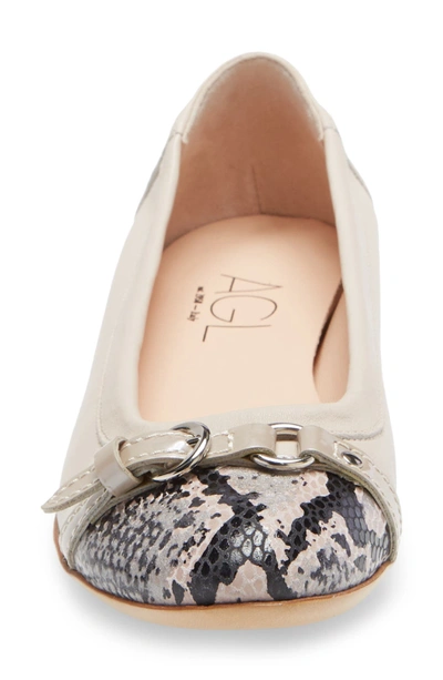 Shop Agl Attilio Giusti Leombruni Cap Toe Ballet Flat In Taupe Multi Snake