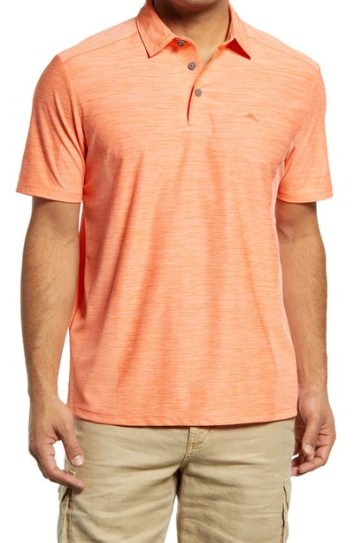 Shop Tommy Bahama Palm Coast Classic Fit Polo In Passion Peach