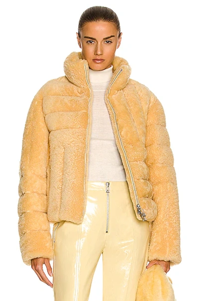 Shop Bottega Veneta Short Teddy Shearling Jacket In Butter