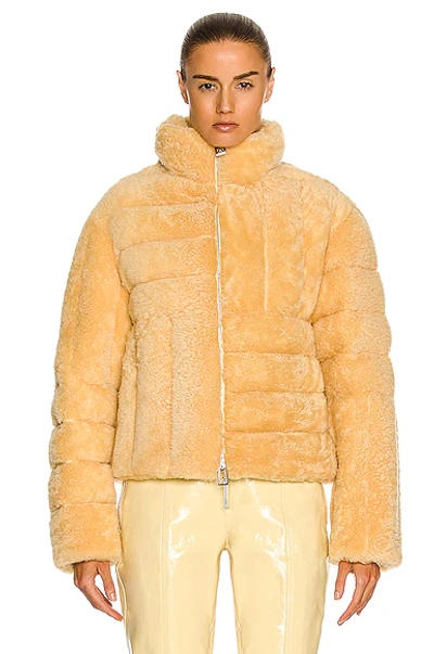 Shop Bottega Veneta Short Teddy Shearling Jacket In Butter