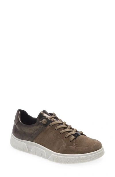 Shop Ara Regina Sneaker In Taiga Velour / Mercury