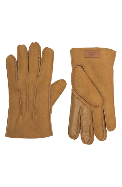 Ugg Men's Contrast Sheepskin Touch Tech Gloves In Chestnut | ModeSens