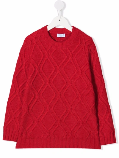 Shop Siola Patterned-knit Jumper In Red