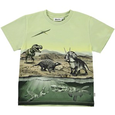 Shop Molo Dino Earth Rame T-shirt In Green