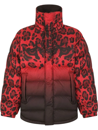 Shop Dolce & Gabbana Reversible Animal-print Puffer Coat In Black