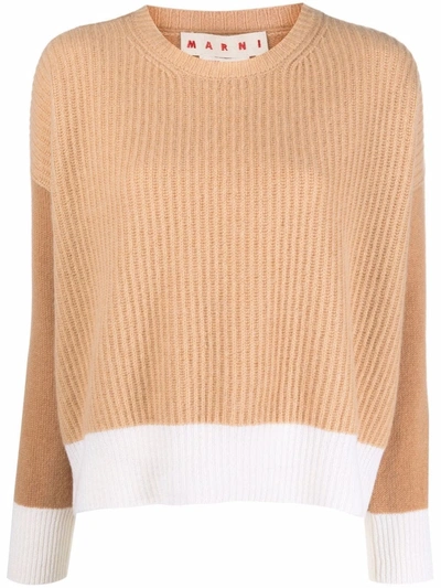 Shop Marni Two-tone Sweater In Brown