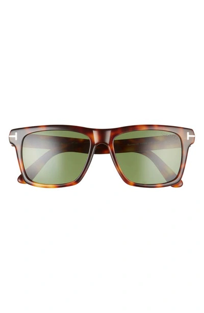 Shop Tom Ford Buckley-02 56mm Square Sunglasses In Havana/ Green