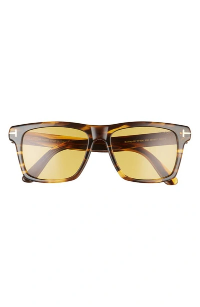 Shop Tom Ford Buckley-02 56mm Square Sunglasses In Havana/ Brown
