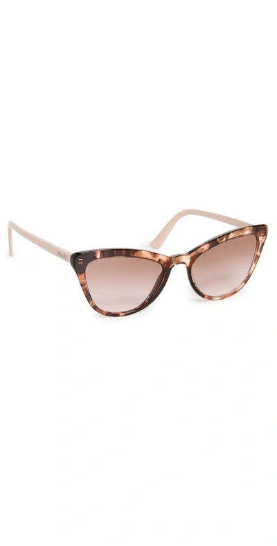 Shop Prada Cat Eye Sunglasses In Caramel Tortoise/brown Gradien