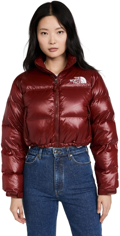 Shop The North Face Nuptse Short Jacket In Brick House Red