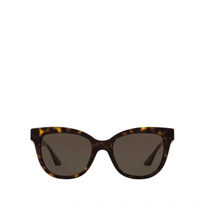 Shop Versace Ve4394 Havana Female S In .