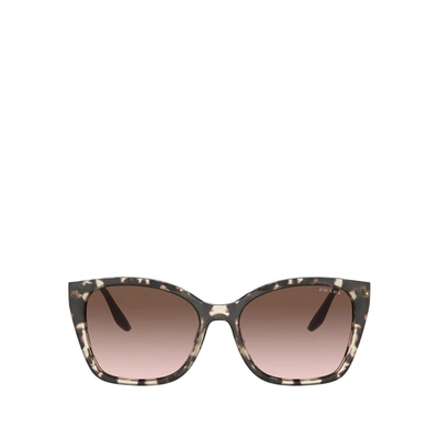 Shop Prada Pr 12xs Brown Female Sun In .