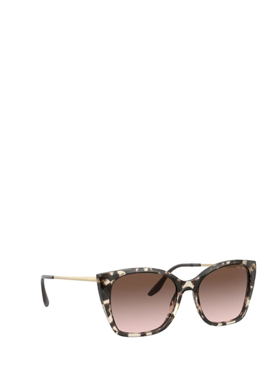 Shop Prada Pr 12xs Brown Female Sun In .