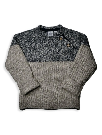 Shop Bear Camp Little Boy's Colorblock Knit Sweater In Grey