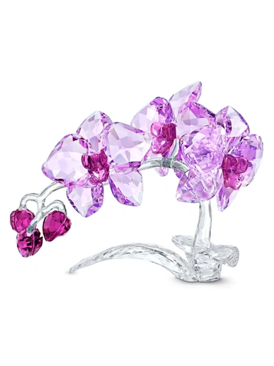 Shop Swarovski Crystal Flowers Orchid