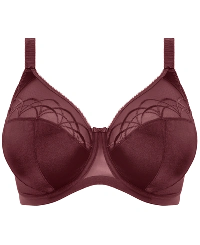 Shop Elomi Cate Full Figure Underwire Lace Cup Bra El4030, Online Only In Raisin