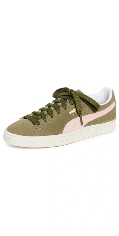 Puma Suede Classic Trainers In Burnt Olive/lotus/marshmallow | ModeSens