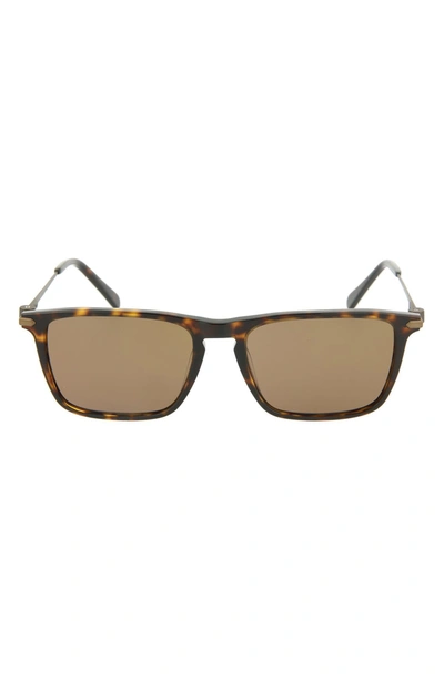 Shop Brioni 53mm Square Sunglasses In Shiny Dark Havana