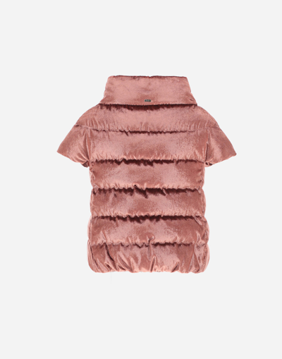 Shop Herno Short-sleeved Crystal Velvet Cape In Pink