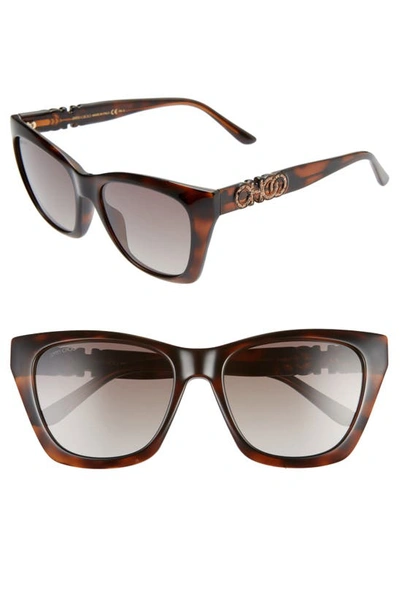 Shop Jimmy Choo Rikki 55mm Cat Eye Sunglasses In Dkhavana/ Brown Gradient
