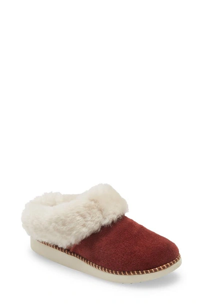 Shop Olukai Genuine Shearling Slipper In Canoe/ Tan