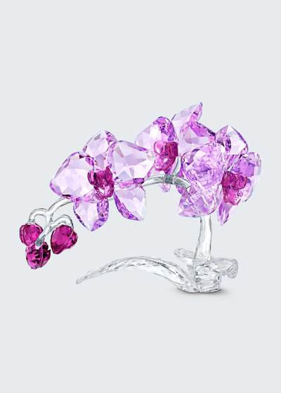 Shop Swarovski Crystal Flowers Orchid