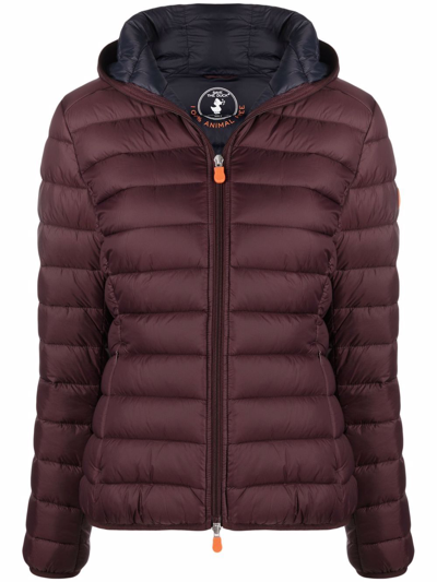 Save The Duck Giga Padded Jacket In Rot