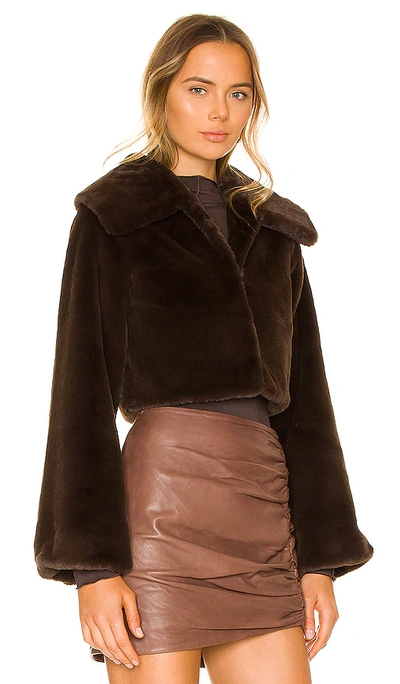 Camila Coelho Cleobella Cropped Faux Fur Jacket In Chocolate Brown