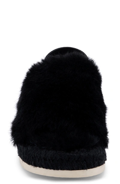 Shop Dolce Vita Keya Faux Fur Slipper In Black Faux Fur