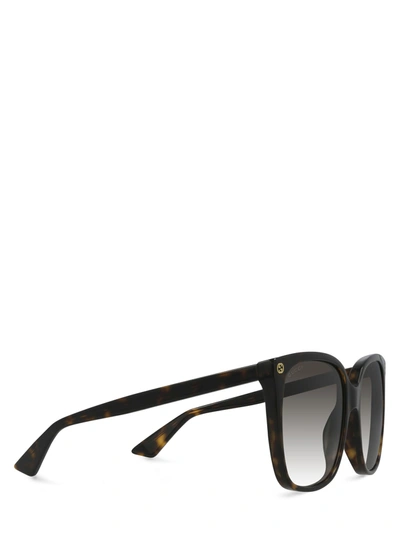 Shop Gucci Gg0022s Havana Female Su In .