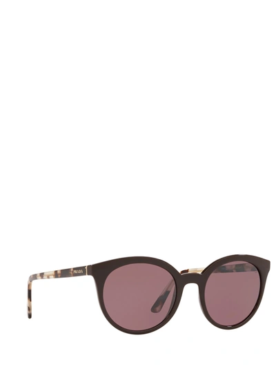 Shop Prada Pr 02xs Brown Female Sunglasses