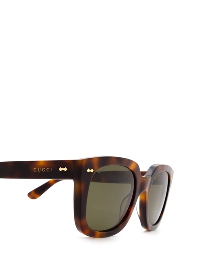 Shop Gucci Gg0912s Havana Male Sunglasses