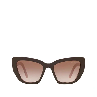 Shop Prada Pr 08vs Brown / Spotted Pink Female Sunglasses