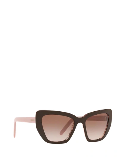 Shop Prada Pr 08vs Brown / Spotted Pink Female Sunglasses