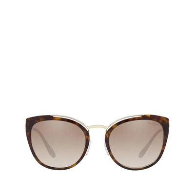 Shop Prada Pr 20us Pale Gold / Havana Female Sunglasses